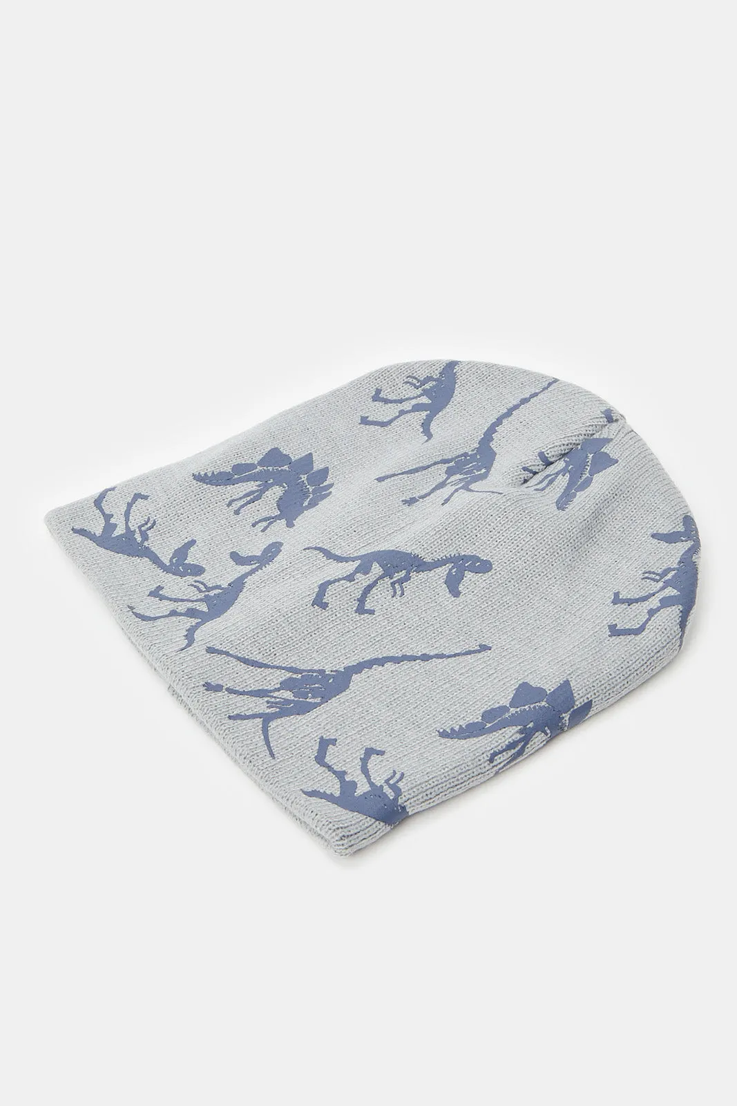 Boys Assorted Dino Print Knitted Cap Set (Pack of 3)