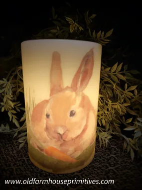 #CRD0024 Peter Rabbit With Carrot🥕 Candle Sleeve