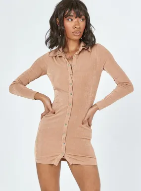 Elody Long Sleeve Mini Dress Brown