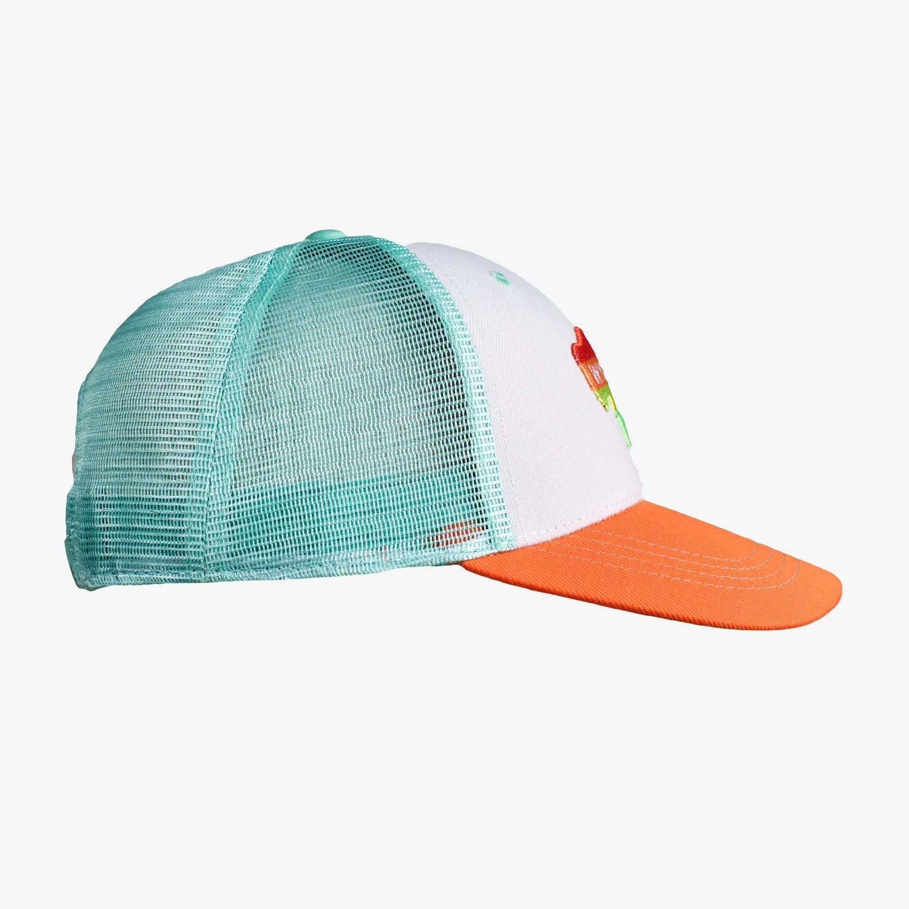 Low Pro Buffalo Horizons Wyoming Snapback Hat