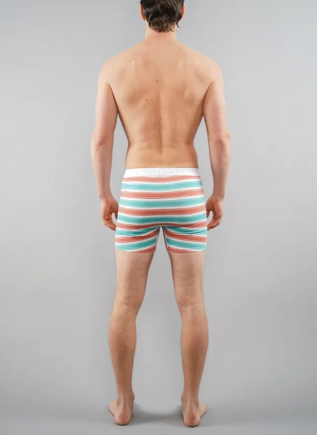 Newman Boxer Brief | Coral & Green Stripe