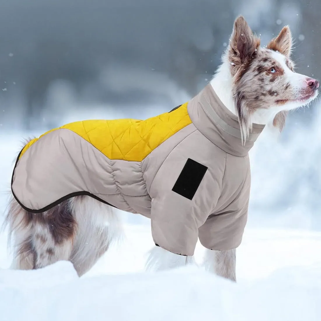 Ozzie - Reflective Warm Winter Coat for Large Dogs